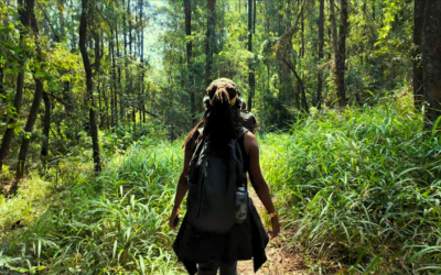 The African Environmental Youth Advisory Women in the history of Karura Forest